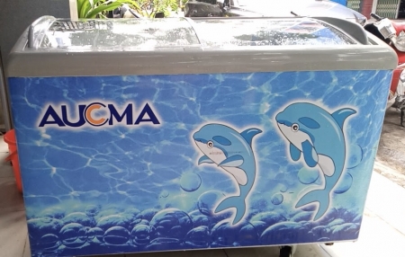 Tủ đông Aucma 328 lit kính cong mới 95%